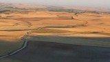 meseta
