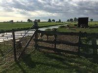 IMG_0459