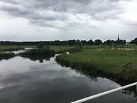 IMG_0466
