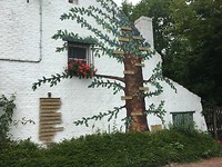 IMG_0480