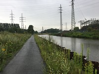 IMG_0495