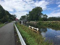 IMG_0513