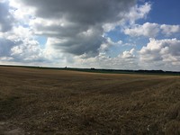 IMG_0537