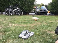 IMG_0029