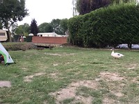 IMG_0030