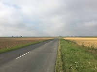 IMG_0560