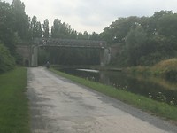 IMG_0600
