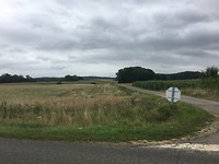 IMG_0608