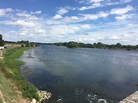 IMG_0766