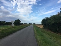 IMG_0771
