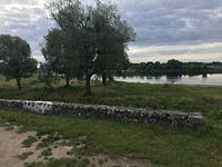IMG_0774