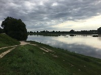 IMG_0778
