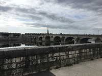 IMG_0781