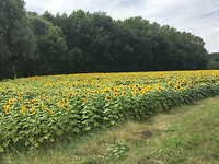 IMG_0789