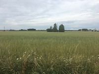 IMG_0817