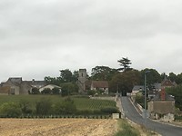 IMG_0849