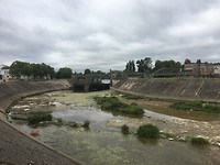 IMG_0860