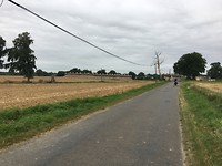 IMG_0887