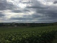 20170805_075357727_iOS