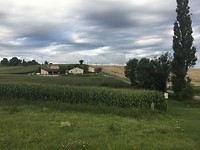 IMG_0913