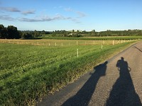 IMG_0930