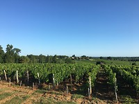 IMG_0936