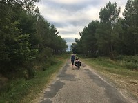IMG_0964