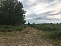 IMG_0969