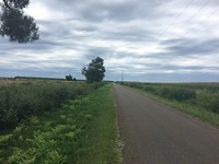 IMG_0975