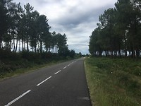 IMG_0978