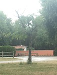 IMG_0986