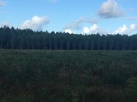IMG_0992
