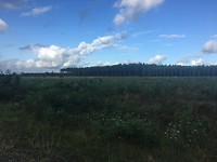 IMG_0994