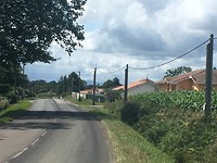 IMG_1003