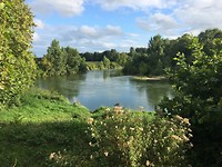 IMG_1009