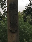 IMG_1087