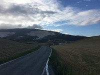 IMG_1102