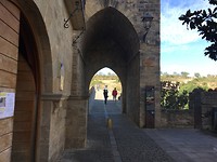 IMG_1121
