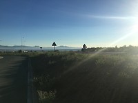 IMG_1175