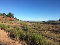 IMG_1176