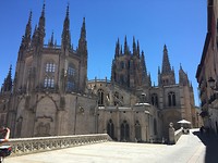 IMG_1195