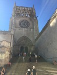 IMG_1203