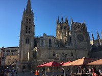 IMG_1208