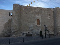 IMG_1216