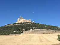 IMG_1238