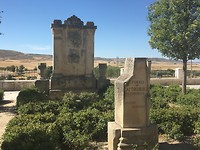IMG_1239