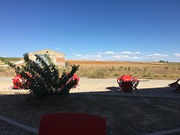 IMG_1252