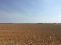 IMG_1258