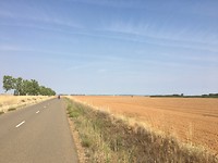 IMG_1259