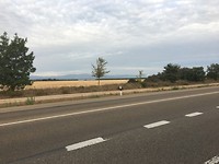 IMG_1264